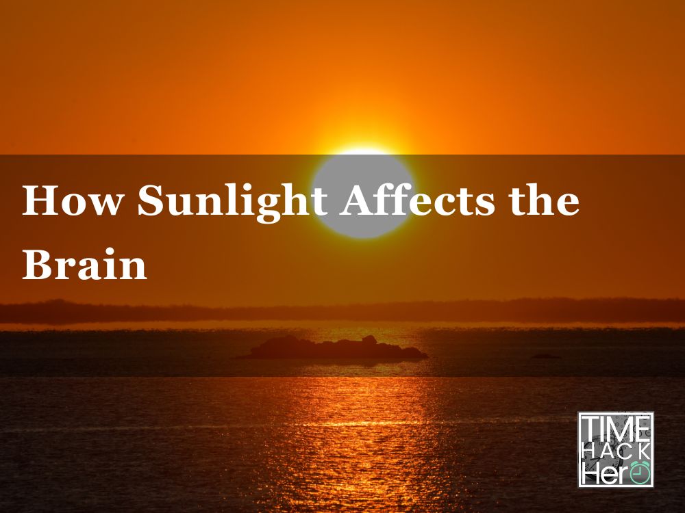 How Sunlight Affects the Brain