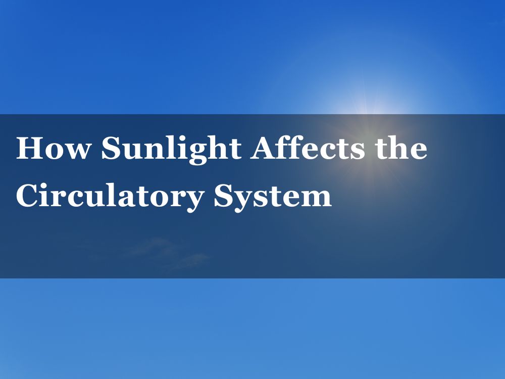How Sunlight Affects the Circulatory System
